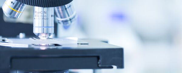 مجهر - سبوتنيك عربي