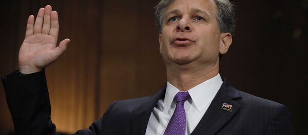 رئيس مكتب التحقيقات الفدرالي الاميركي كريستوفر راي  - سبوتنيك عربي