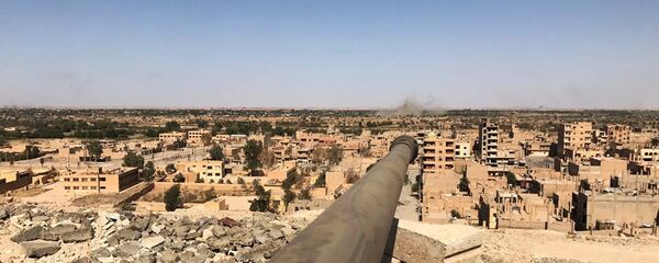 سوريا سوريا - سبوتنيك عربي