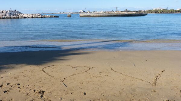 شاهد ... وصـول مئـات المقاتليـن إلـى اللاذقيـة والفرحـة تعـم المدينـة - سبوتنيك عربي