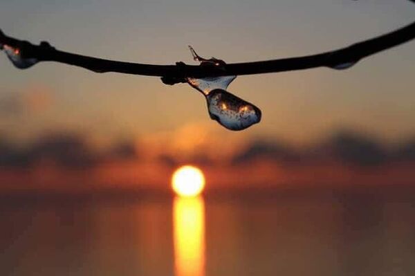 سندباد العراق سندباد العراق - سبوتنيك عربي