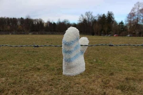 سندباد العراق سندباد العراق - سبوتنيك عربي