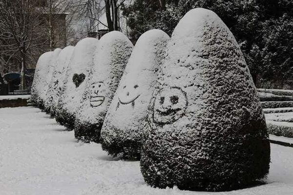 سندباد العراق سندباد العراق - سبوتنيك عربي