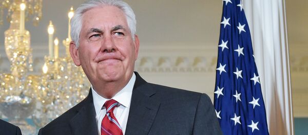 وزير الخارجية الألماني زيغمار غابرييل - سبوتنيك عربي