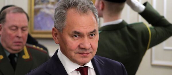 وزير الدفاع الروسي سيرغي شويغو - سبوتنيك عربي