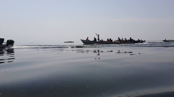 أهوار محافظة ميسان جنوبي العراق - سبوتنيك عربي