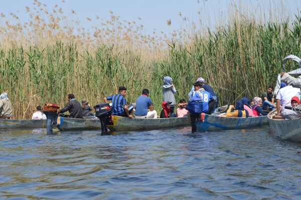  أهوار محافظة ميسان جنوبي العراق - سبوتنيك عربي