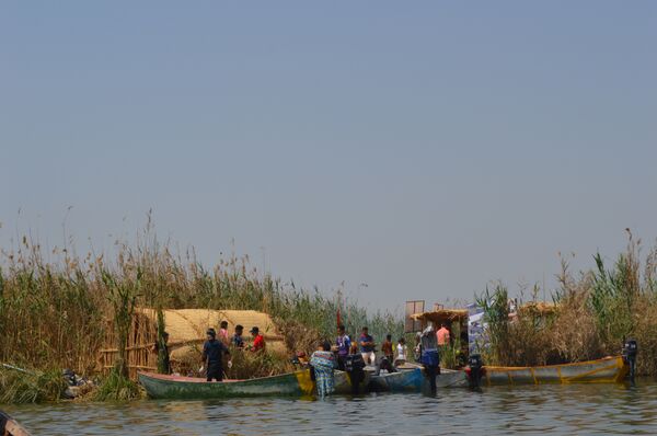  أهوار محافظة ميسان جنوبي العراق - سبوتنيك عربي