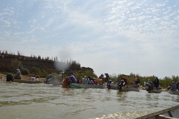  أهوار محافظة ميسان جنوبي العراق - سبوتنيك عربي