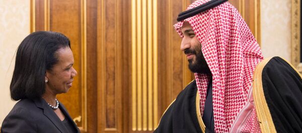 بن سلمان يلتقي رايس - سبوتنيك عربي