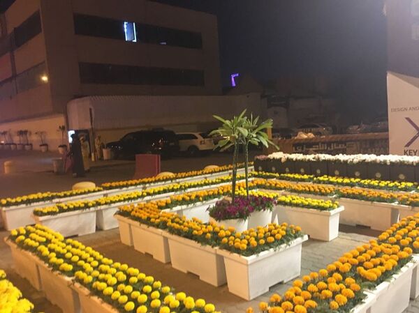 زاوية لتنسيق الزهور - سبوتنيك عربي