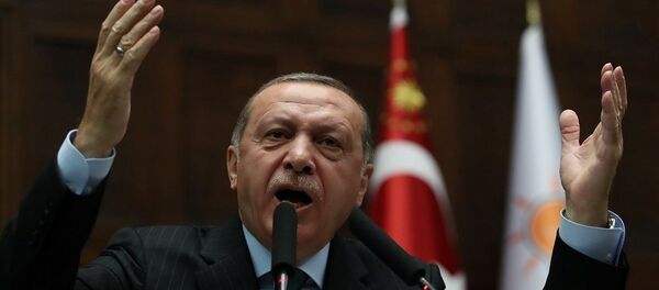 رجب طيب أردوغان - سبوتنيك عربي