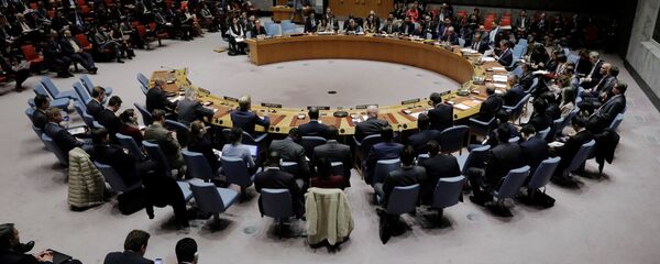 مجلس الأمن الدولي للأمم المتحدة، نيويورك، الولايات المتحدة 29 نوفمبر/ تشرين الثاني 2017 مجلس الأمن الدولي للأمم المتحدة، نيويورك، الولايات المتحدة 29 نوفمبر/ تشرين الثاني 2017 - سبوتنيك عربي