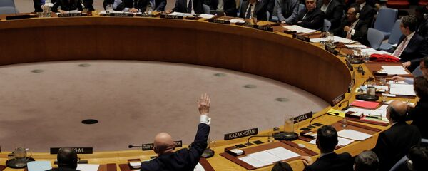 مجلس الأمن الدولي - سبوتنيك عربي