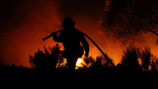 رجل إطفاء وسط حرائق كاليفورنيا - سبوتنيك عربي