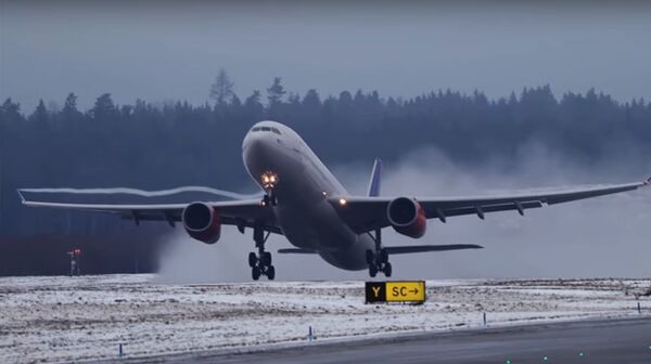 طائرة ركاب مدنية - سبوتنيك عربي