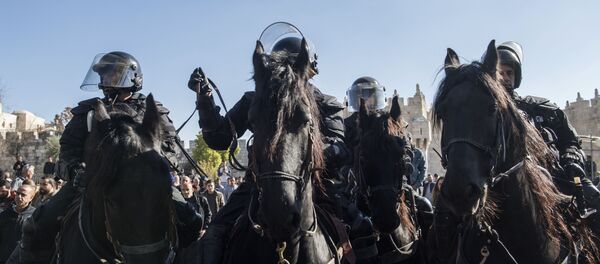 مظاهرات و احتجاجات في القدس، ديسمبر/ كانون الأول 2017 - سبوتنيك عربي