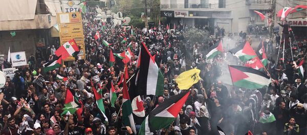 مظاهرات و احتجاجت في مدينة عكار، لبنان 10 ديسمبر/ كانون الأول 2017 - سبوتنيك عربي