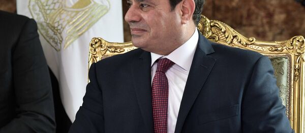 الرئيس الروسي فلاديمير بويتن والرئيس المصري عبدالفتاح السيسي في مصر، 11 ديسمبر/ كانون الأول 2017 - سبوتنيك عربي