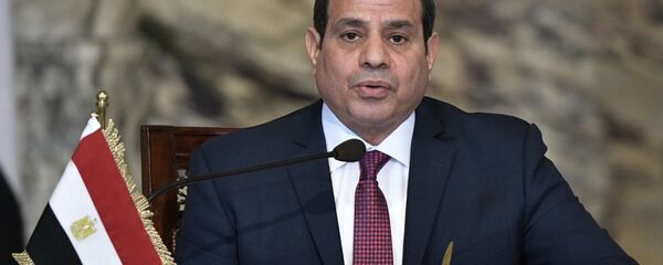 الرئيس الروسي فلاديمير بوتين والرئيس المصري عبد الفتاح السيسي في مصر، 11 ديسمبر/ كانون الأول 2017 - سبوتنيك عربي