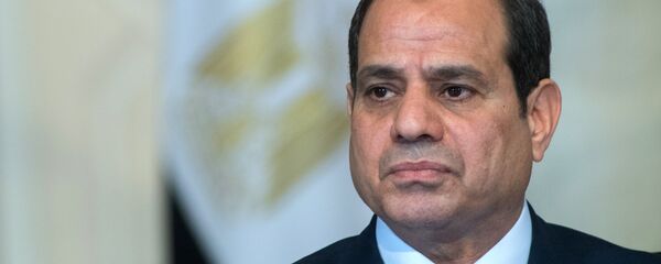 الرئيس الروسي فلاديمير بوتين والرئيس المصري عبد الفتاح السيسي في مصر، 11 ديسمبر/ كانون الأول 2017 - سبوتنيك عربي