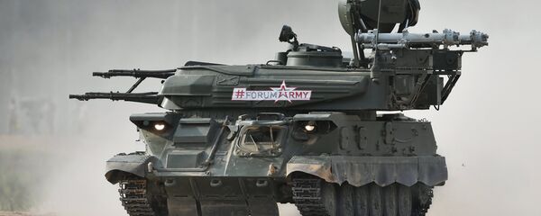 مدفع مضاد للطائرات - سبوتنيك عربي