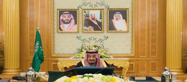 الملك سلمان - سبوتنيك عربي