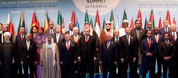 قمة التعاون الإسلامي في اسطنبول في 13 دسمبر/كانون الأول - سبوتنيك عربي