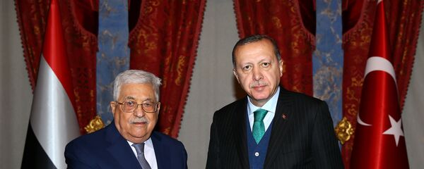 الرئيس الفلسطيني محمود عباس والرئيس التركي رجب طيب أردوغان في اسطنبول، تركيا 12 ديسمبر: كانون الأول 2017 - سبوتنيك عربي