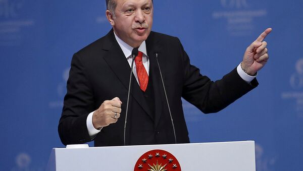 الرئيس التركي رجب طيب أردوغان في اسطنبول، تركيا 13 ديسمبر/ كانون الأول 2017 - سبوتنيك عربي