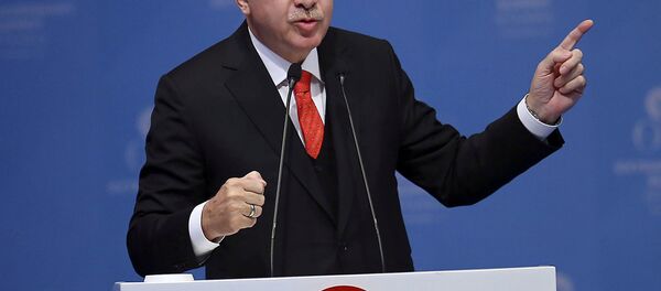 الرئيس التركي رجب طيب أردوغان في اسطنبول، تركيا 13 ديسمبر/ كانون الأول 2017 - سبوتنيك عربي