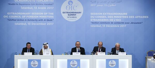 الدورة الاستثنائية لمجلس وزراء الخارجية لمنظمة التعاون الإسلامي في اسطنبول، تركيا 13 ديسمبر/ كانون الأول 2017 - سبوتنيك عربي