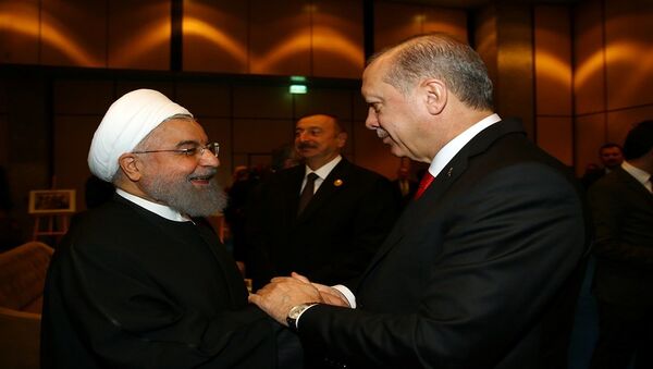 الرئيس التركي رجب طيب أردوغان والرئيس الإيراني حسن روحاني في اسطنبول، تركيا 13 ديسمبر/ كانون الأول 2017 - سبوتنيك عربي