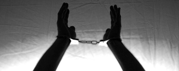 سجين  - سبوتنيك عربي