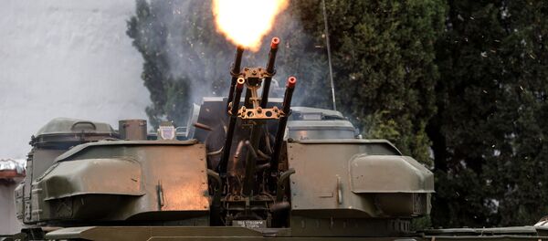 مدفع ذاتي الحركة مضاد للأهداف الجوية - سبوتنيك عربي