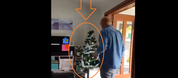 العثور على ضيف مرعب في شجرة الكريسماس - سبوتنيك عربي