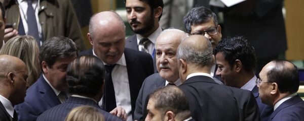 ممثل فلسطين في الأمم المتحدة رياض منصور - سبوتنيك عربي