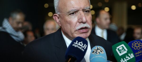 وزير الخارجية الفلسطينية رياض المالكي في مؤتمر صحفي في مجلس الأمن، الأمم المتحدة، نيويورك، الولايات المتحدة 21 ديسمبر/ كانون الأول 2017 - سبوتنيك عربي