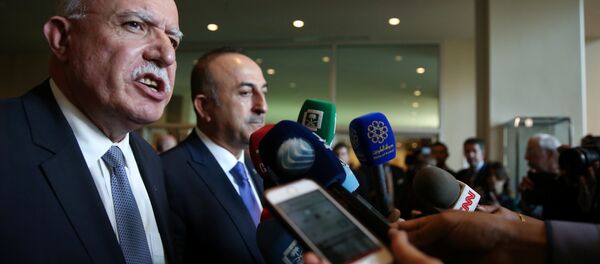 وزير الخارجية الفلسطينية رياض المالكي في مؤتمر صحفي في مجلس الأمن، الأمم المتحدة، نيويورك، الولايات المتحدة 21 ديسمبر/ كانون الأول 2017 - سبوتنيك عربي