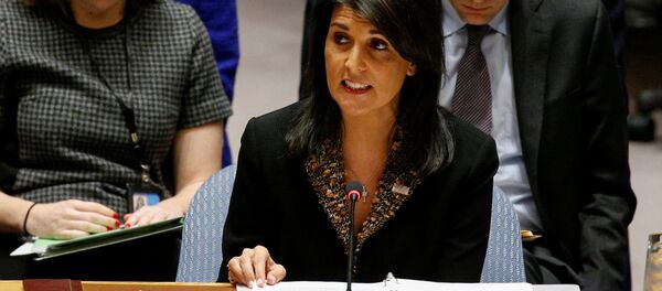 الممثلة الدائمة للولايات المتحدة لدى الأمم المتحدة نيكي هايلي في مجلس الأمن، نيويورك، الولايات المتحدة 21 ديسمبر/ كانون الأول 2017 - سبوتنيك عربي