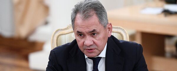 وزير الدفاع الروسي سيرغي شويغو، 22 ديسمبر/ كانون الأول  2017 - سبوتنيك عربي