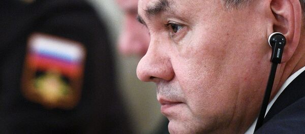 وزير الدفاع الروسي سيرغي شويغو، 22 ديسمبر/ كانون الأول  2017 - سبوتنيك عربي