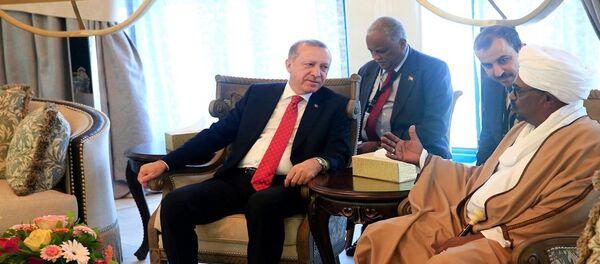 أردوغان والبشير - سبوتنيك عربي