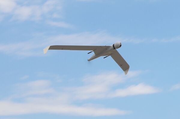 طائرة بدون طيار من طراز زالا طائرة بدون طيار من طراز زالا - سبوتنيك عربي