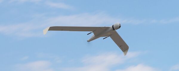 طائرة بدون طيار طائرة بدون طيار - سبوتنيك عربي