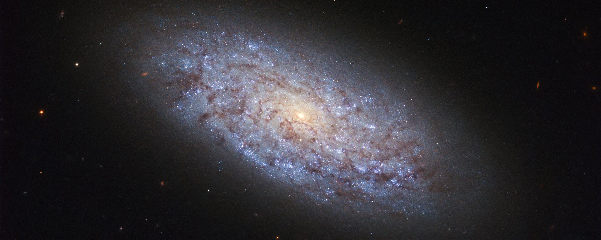 المجرة NGC 5949 في كوكبة التنين، التي تنتهك قوانين توزيع المادة المظلمة - سبوتنيك عربي, 1920, 15.12.2024