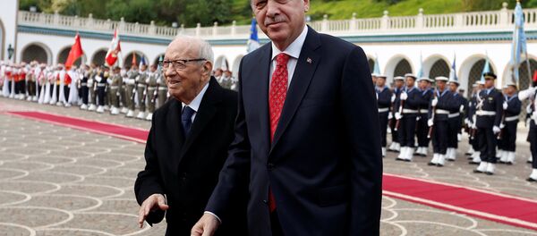 أردوغان والسبسي - سبوتنيك عربي