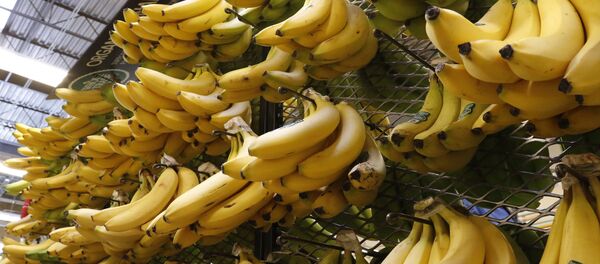 موز - سبوتنيك عربي