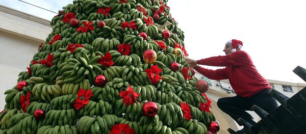 بيروت، لبنان - سبوتنيك عربي
