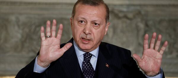 أردوغان أردوغان - سبوتنيك عربي